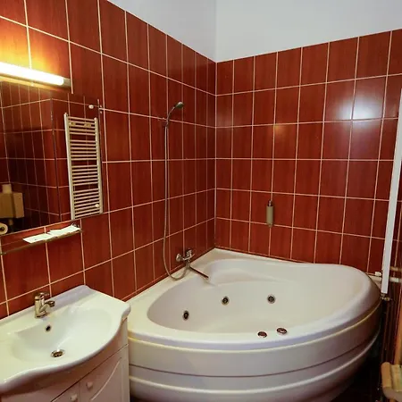 Pensiunea Noemi Pensiune 3*