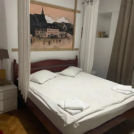 Pensiunea Noemi Гостьовий будинок Брашов