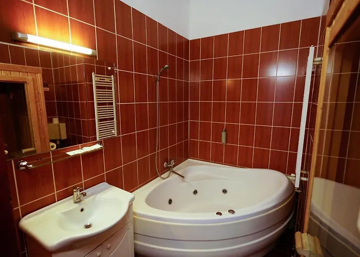 Pensiunea Noemi Guest house 3*