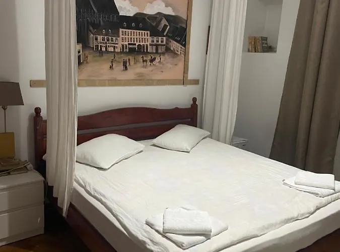 Pensiunea Noemi Guest house Brasov