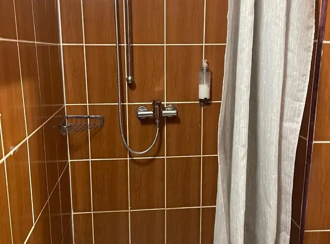 Guest house Pensiunea Noemi