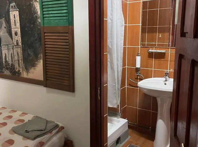 Guest house Pensiunea Noemi