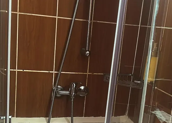 Pensiunea Noemi Guest house