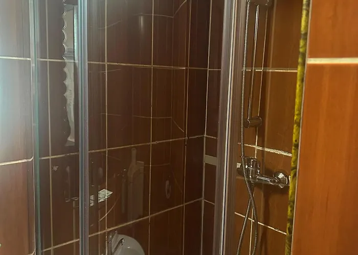 Pensiunea Noemi Guest house